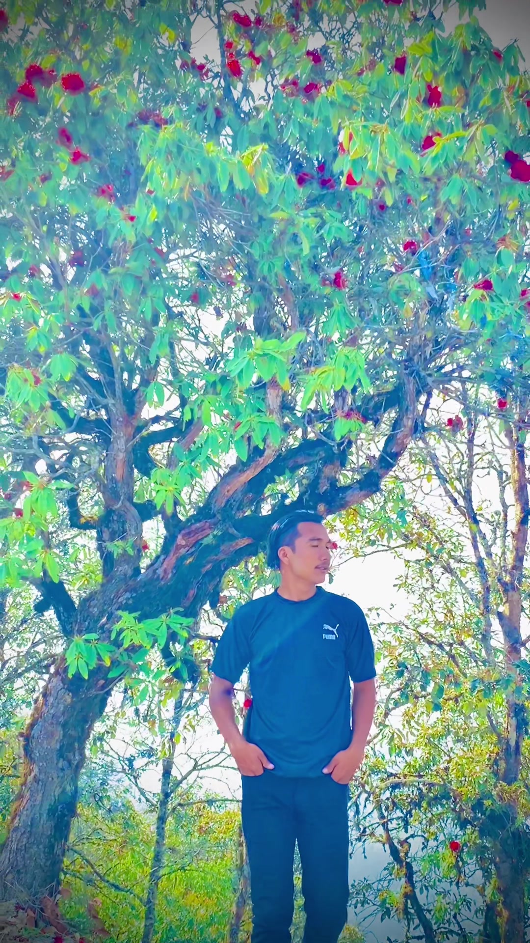 @krishna sapkota