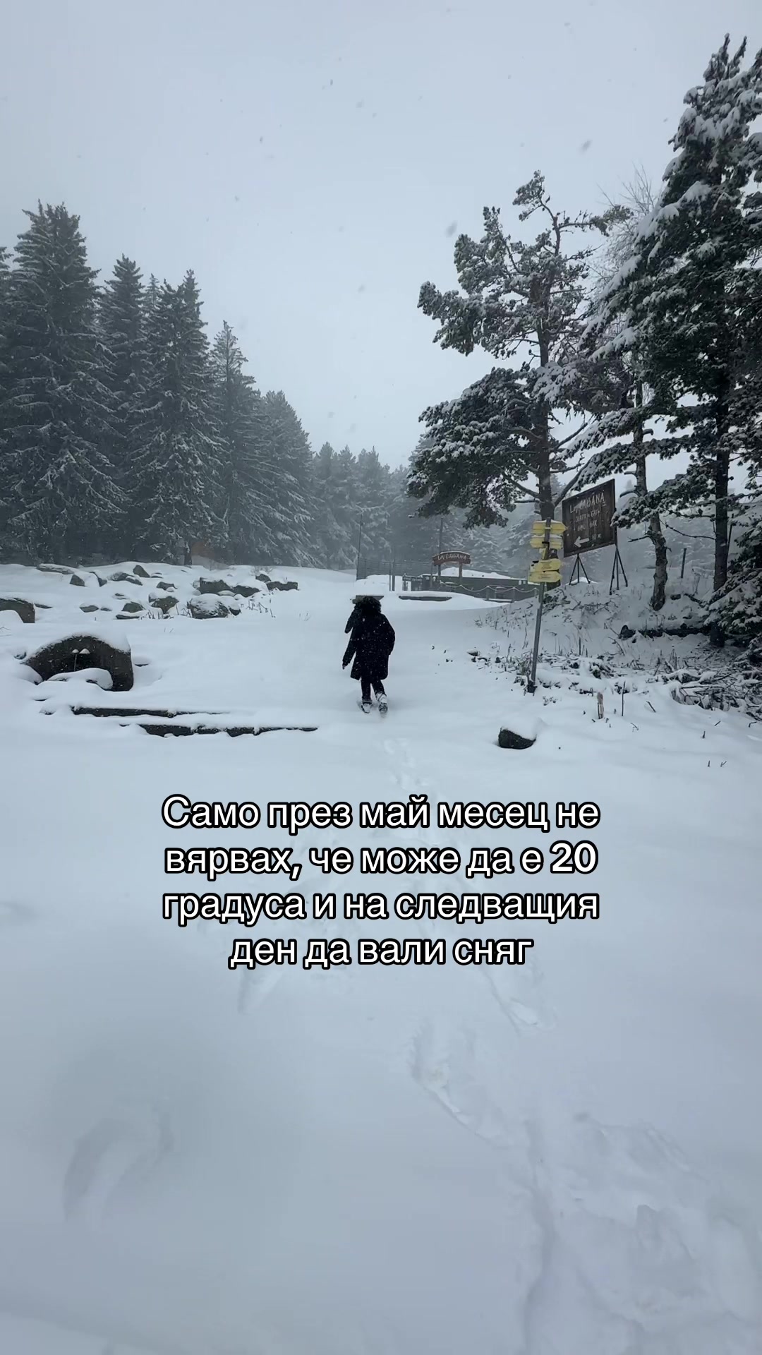 @🤍Yoni🤍