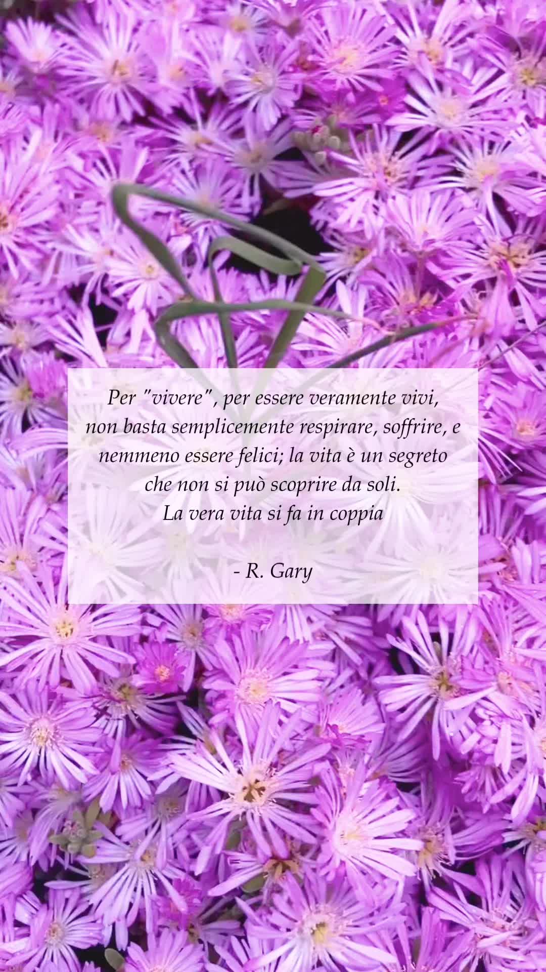 @Gal