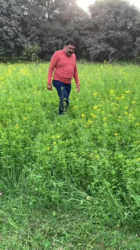 @RANA Ilyas-multani77