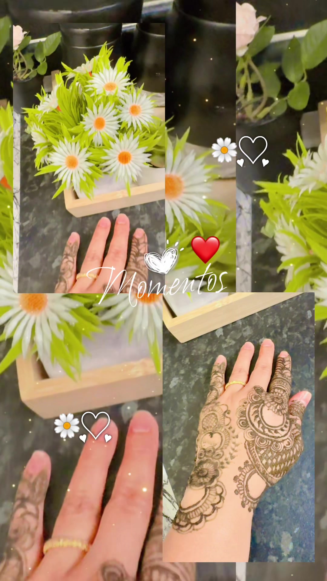 @Amz❤️Sonz