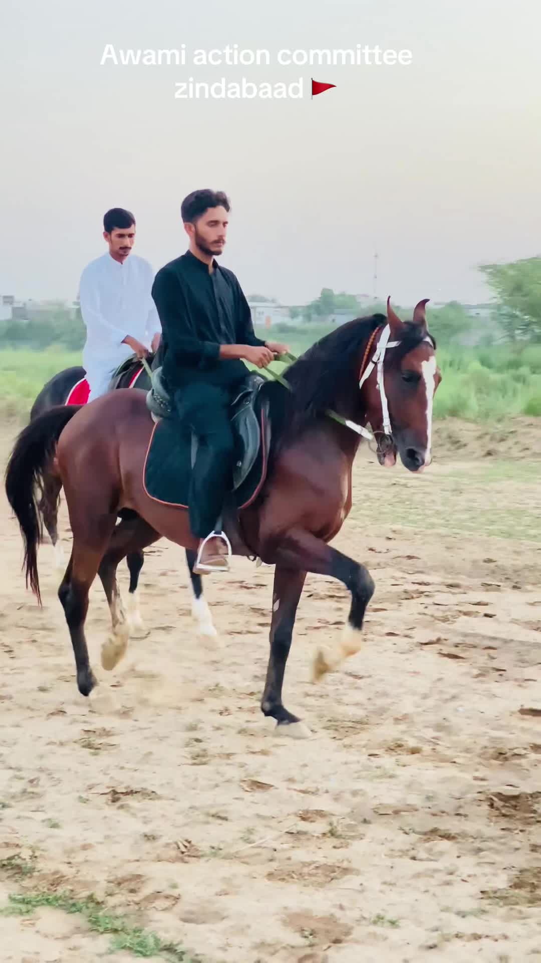 @Ch Hammad bokan ♥️🐎