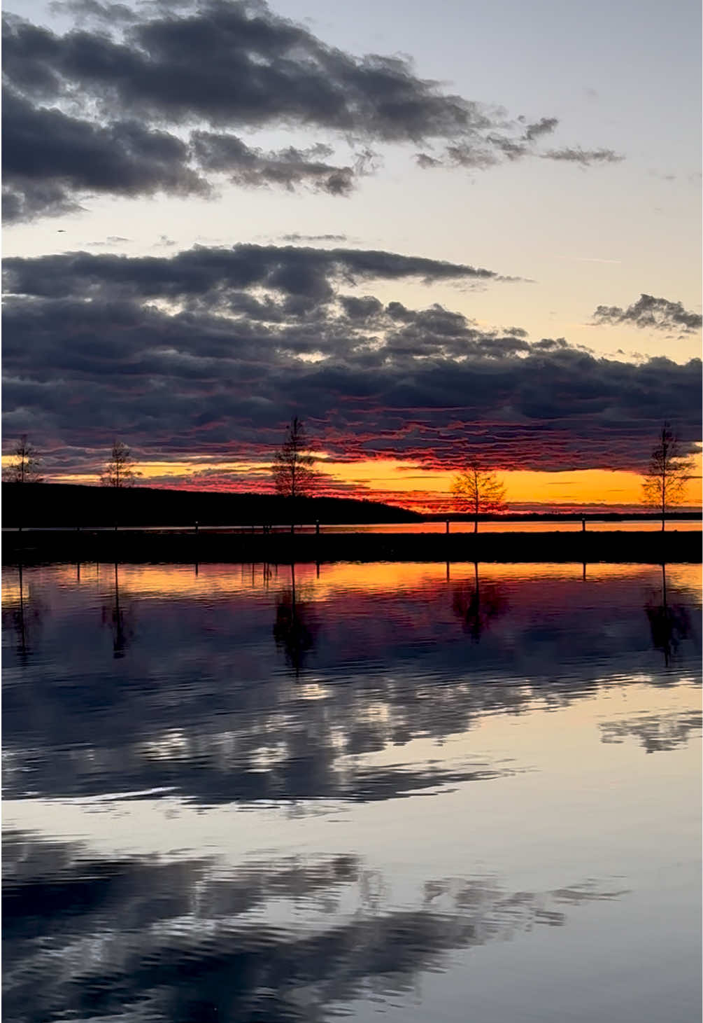@Ansku 🇫🇮