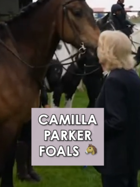 @The Royal Family Channel