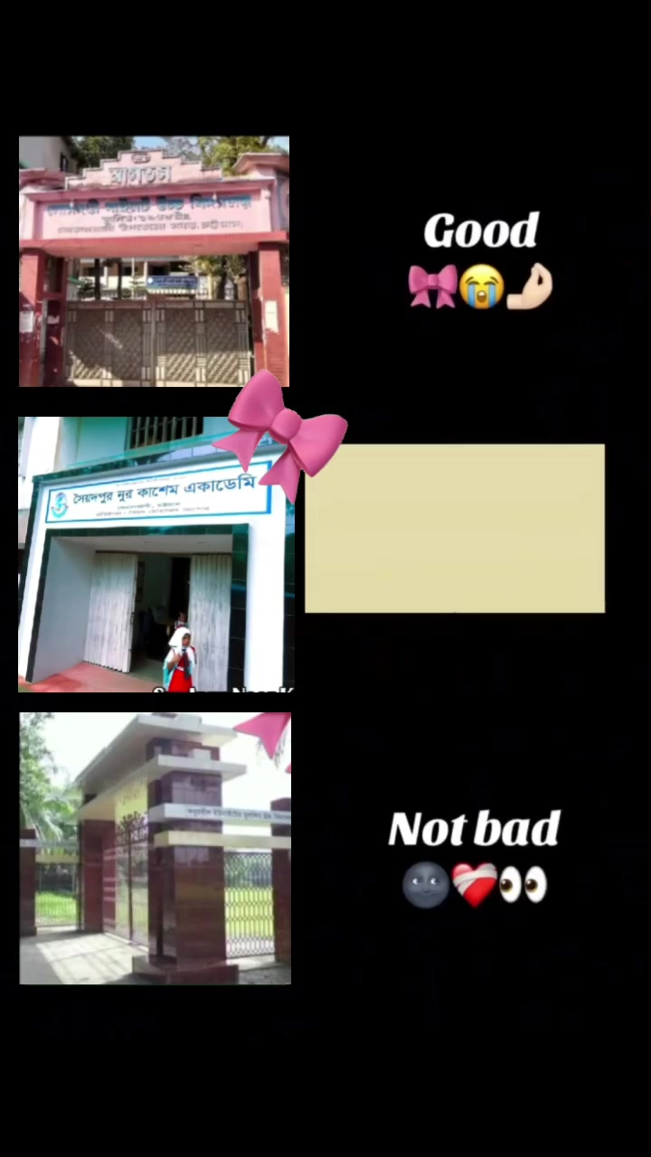 @瑞米🌷✨