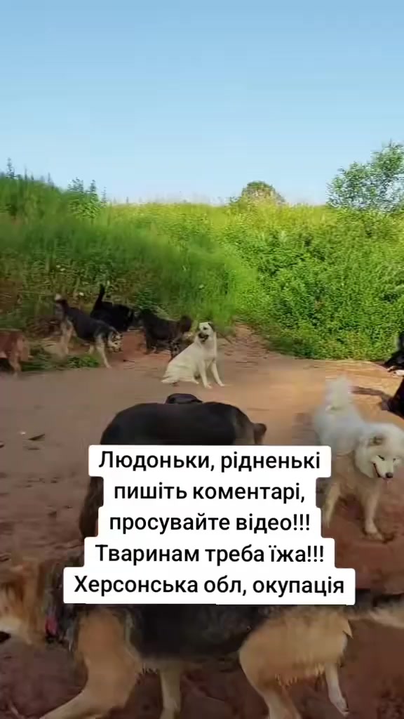 @tvarinkidobra