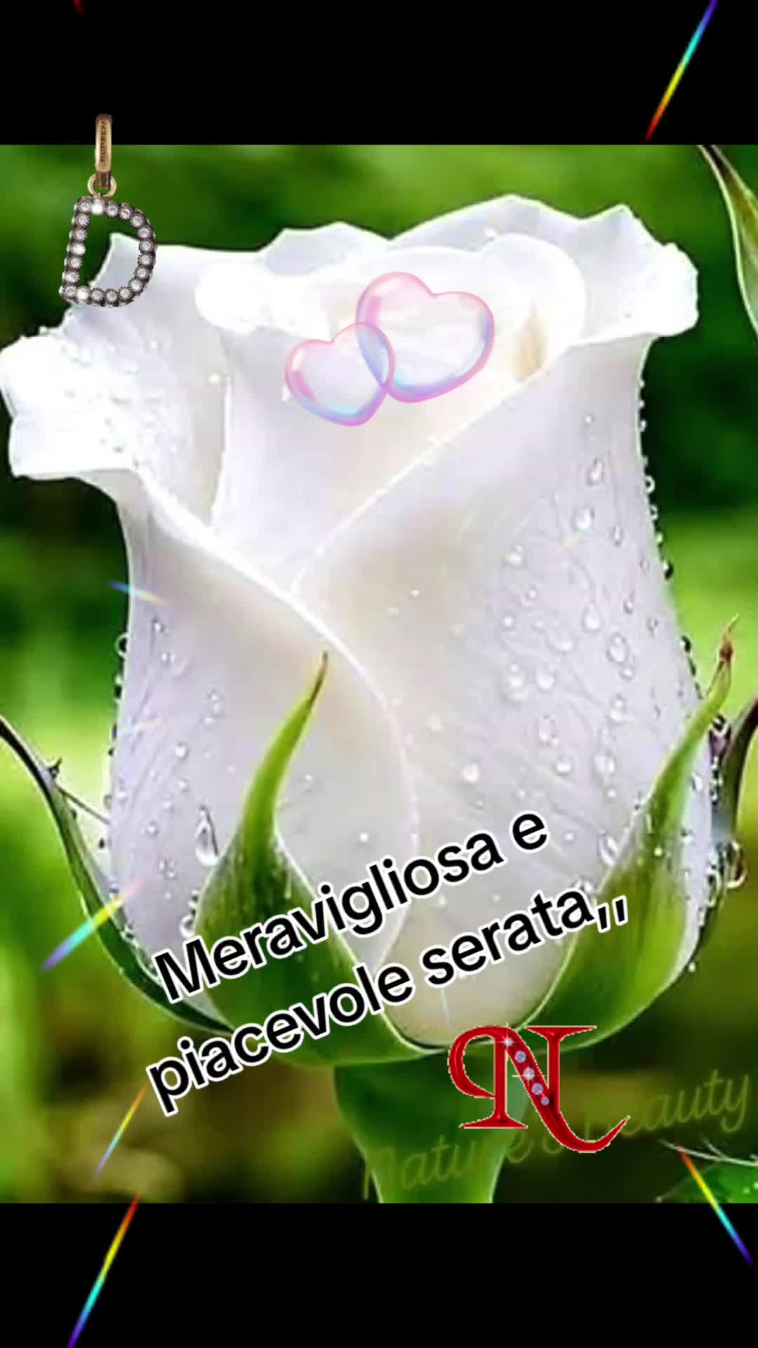 @Nicolae Iamandi