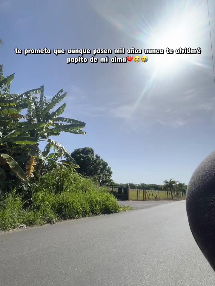 @Luu🕷️