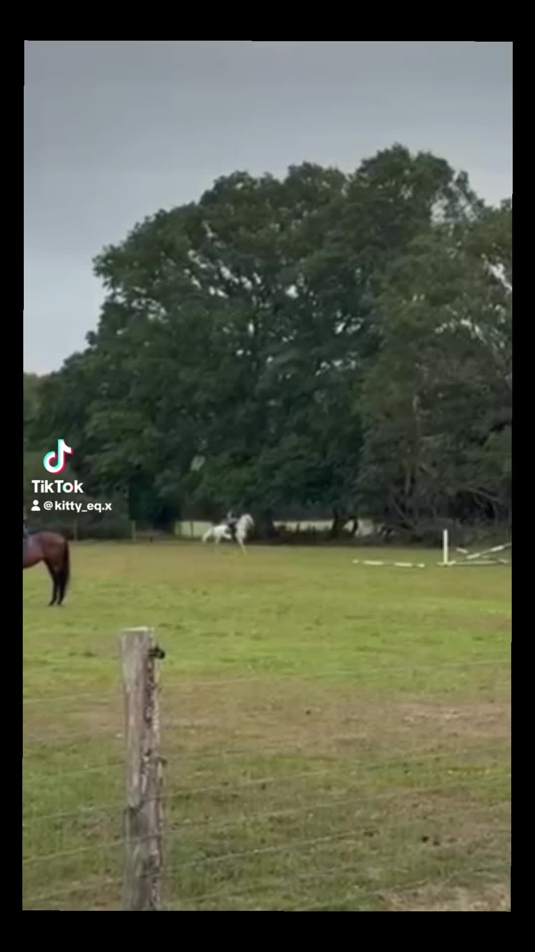 @Kitty equestrian.