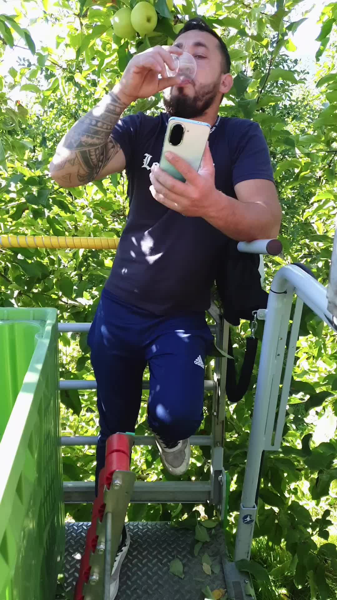 @Ovidiu Veltanu
