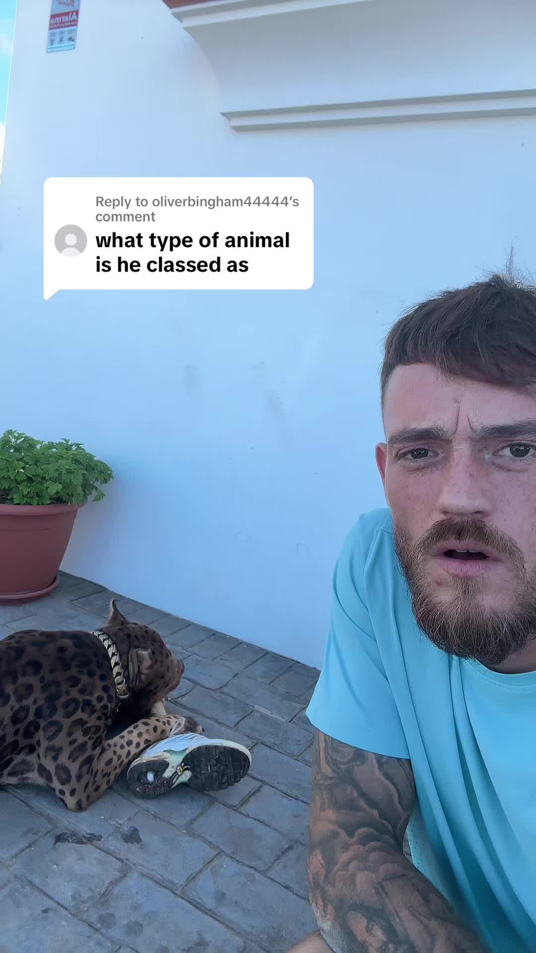 @deanthedogman1