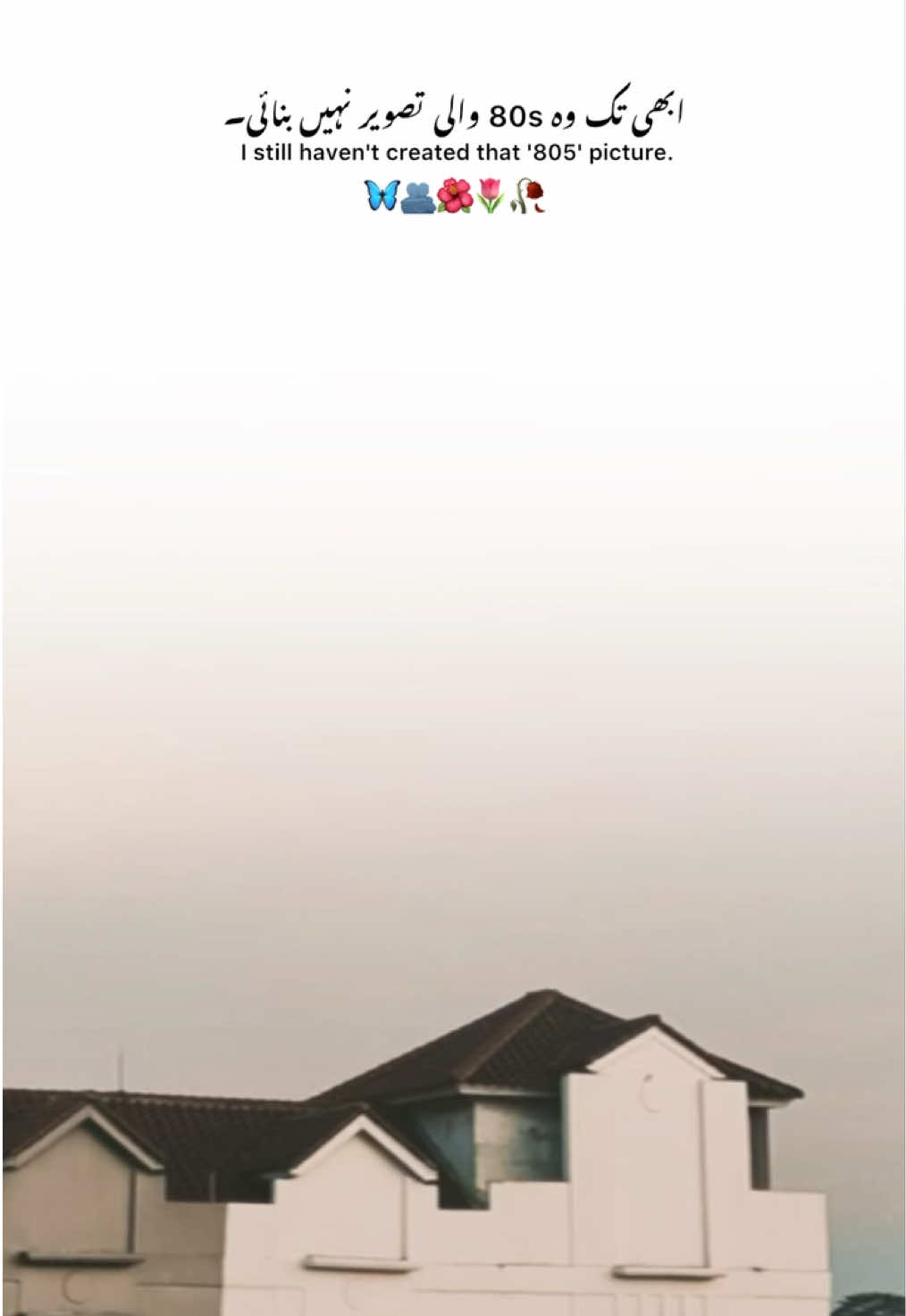 @꧁𝑴𒊹︎حT̷̫͉̰͕̒́∀᥅𝓐🄼꧂
