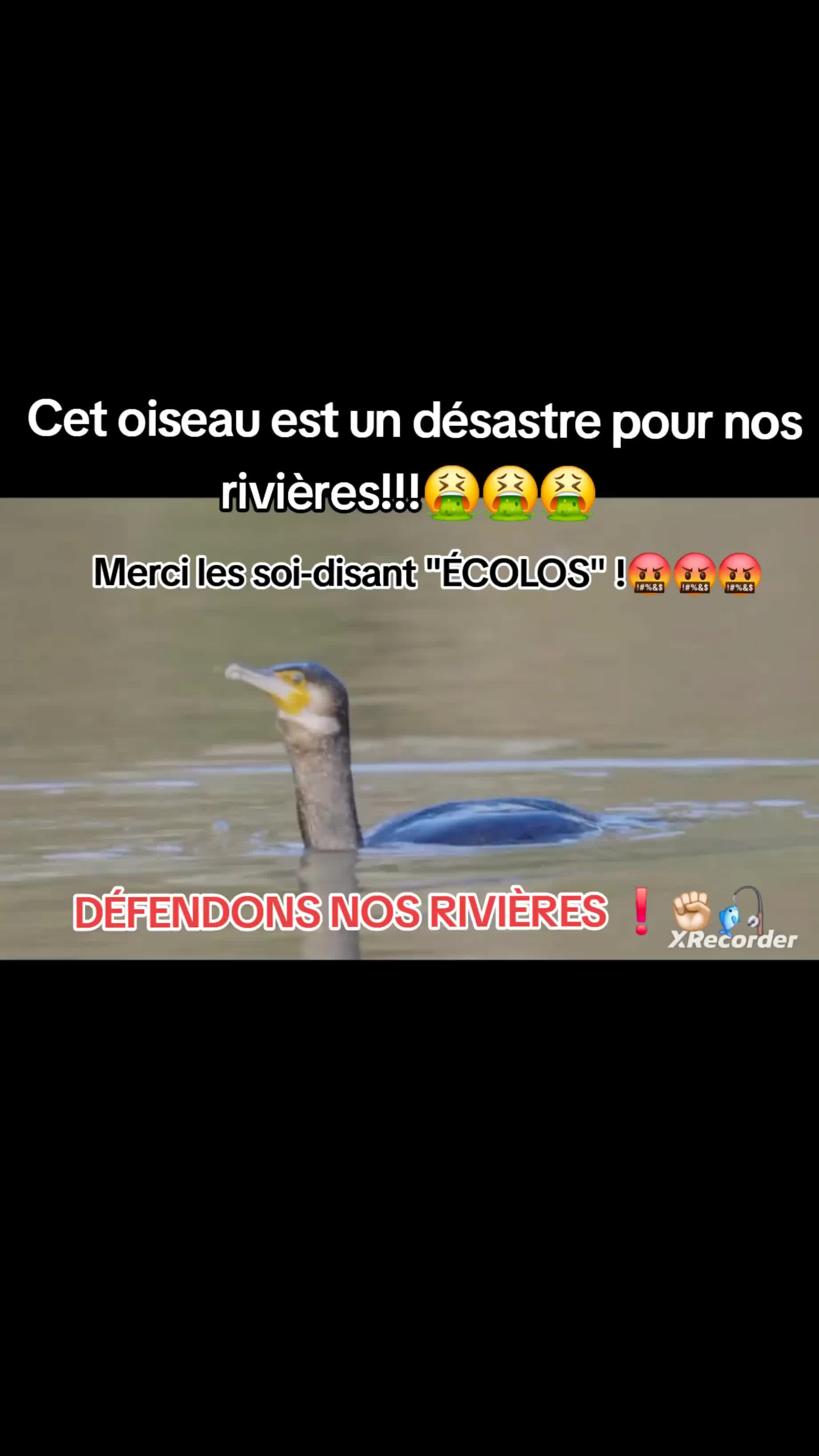 @rivi&egrave;res comtoises &agrave; l'agonie