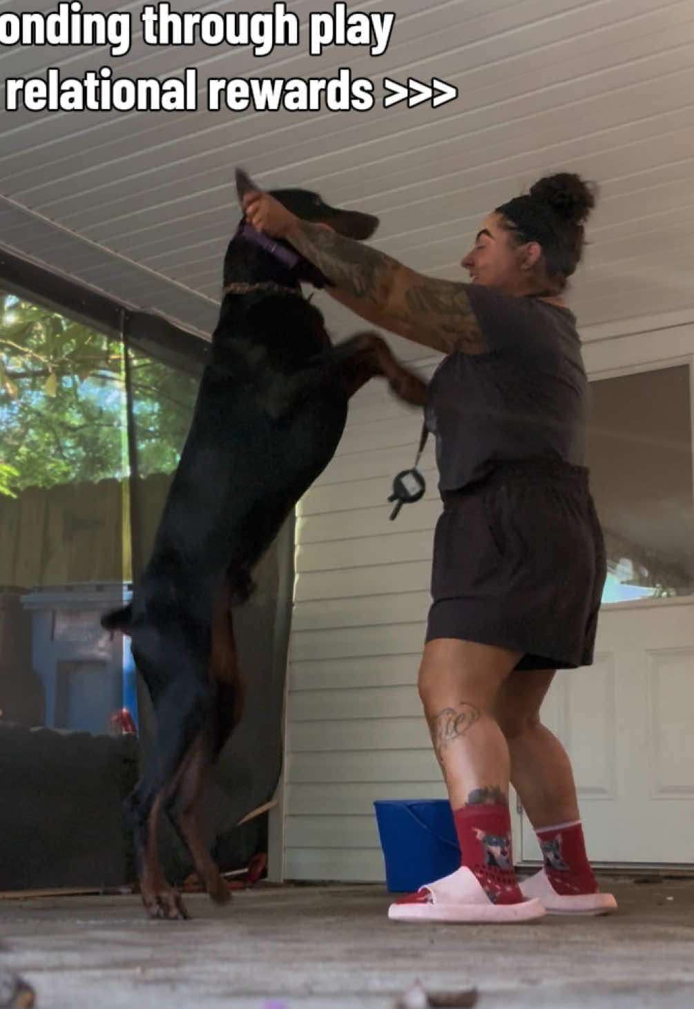 @Kiley - dog trainer