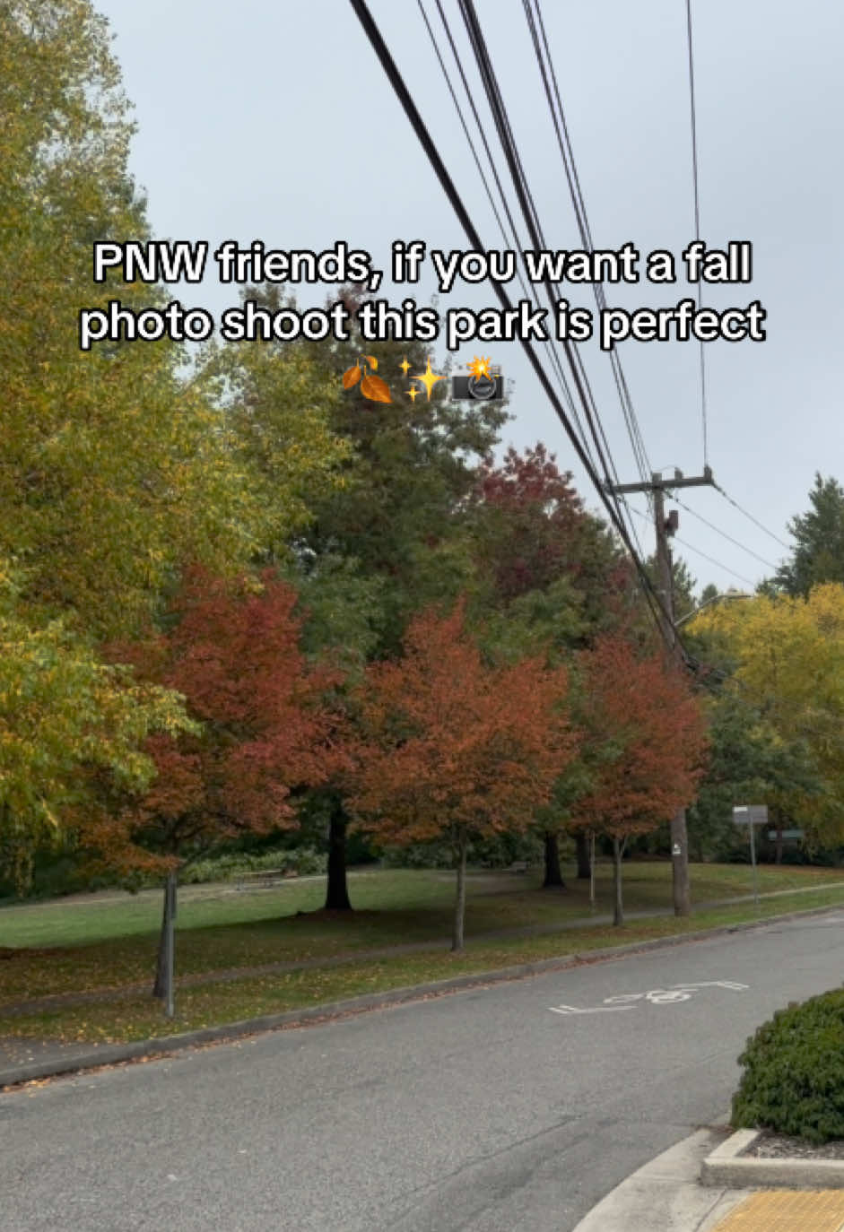 @Kary PNW