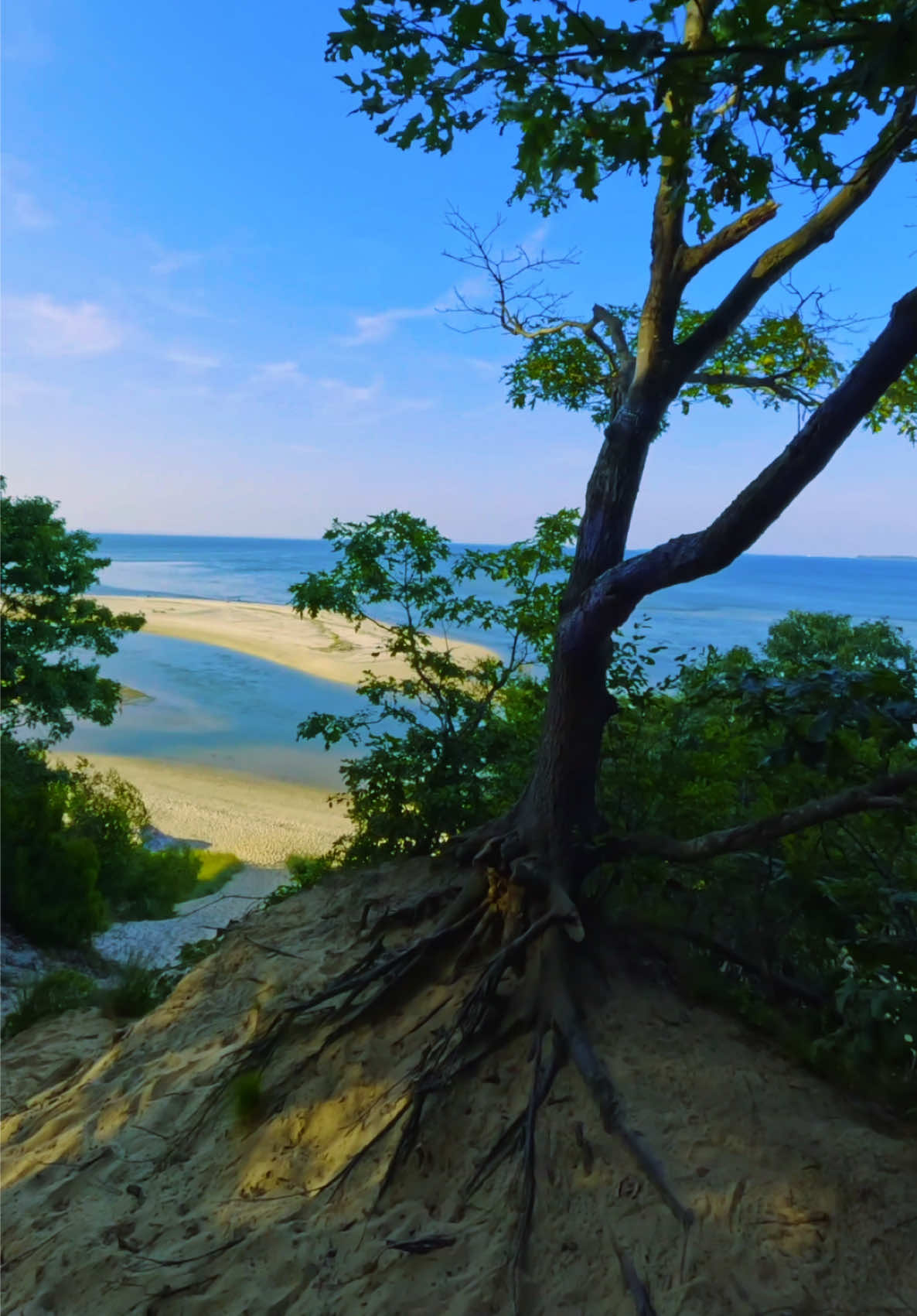 @David