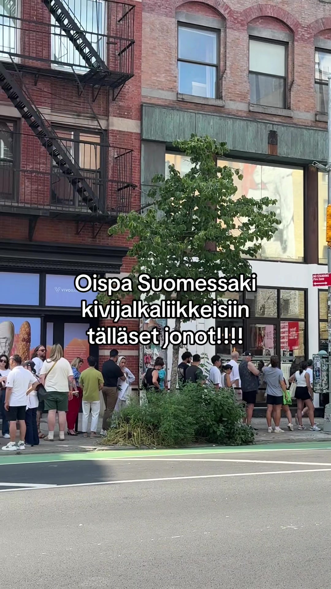 @Janita Autio