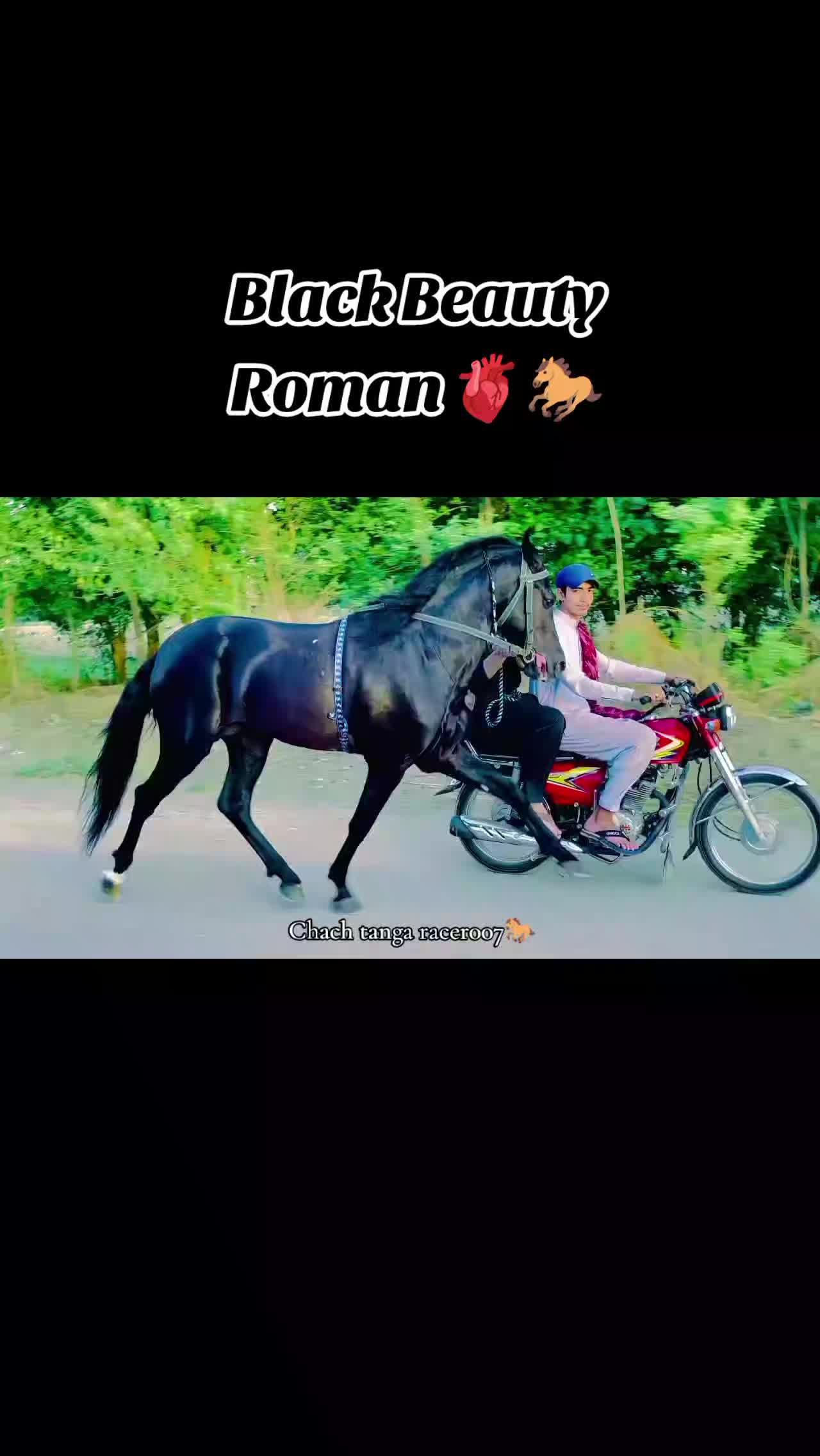 @Chach tanga racer007🐎