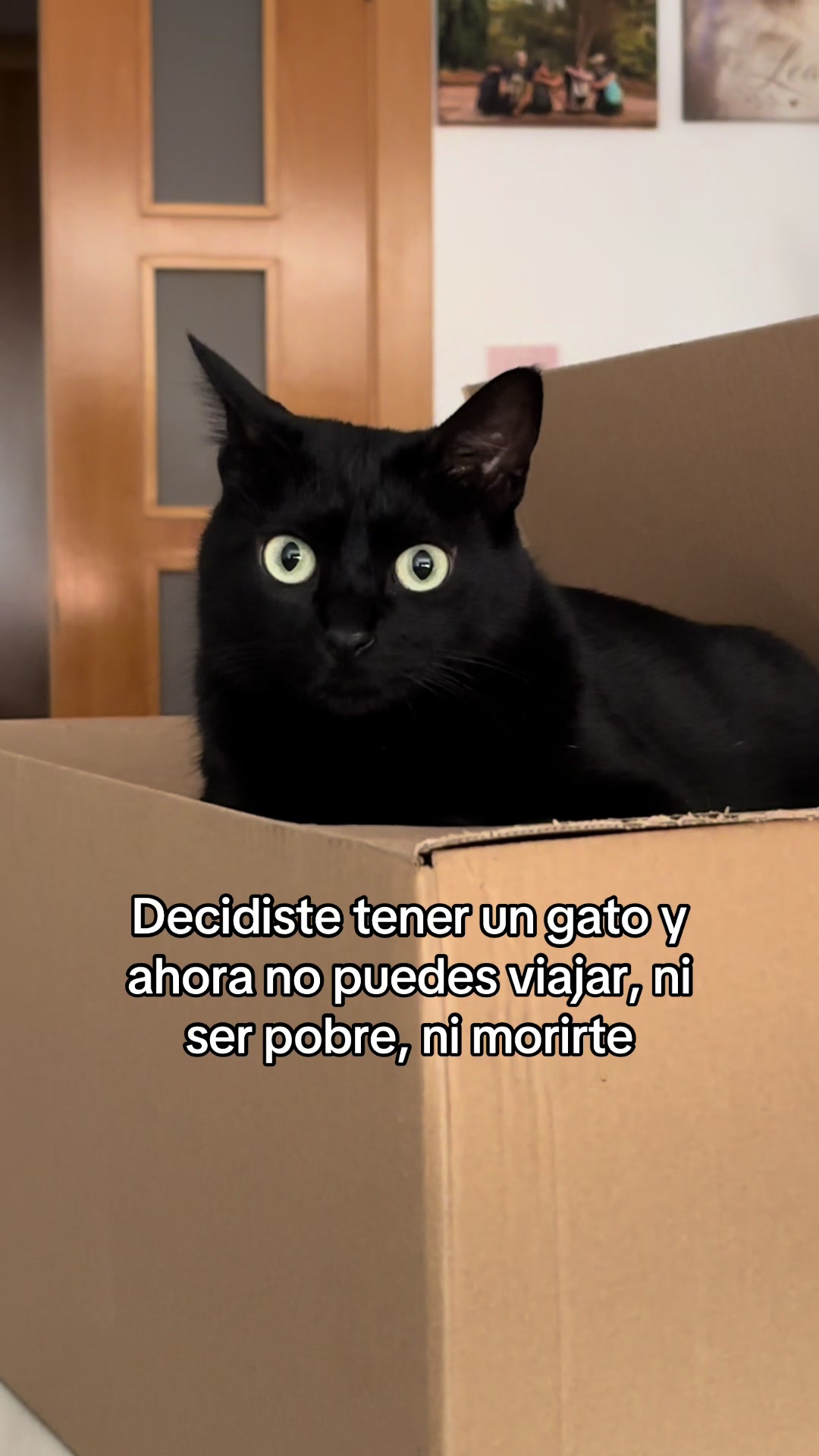 @BlackCatsMatter