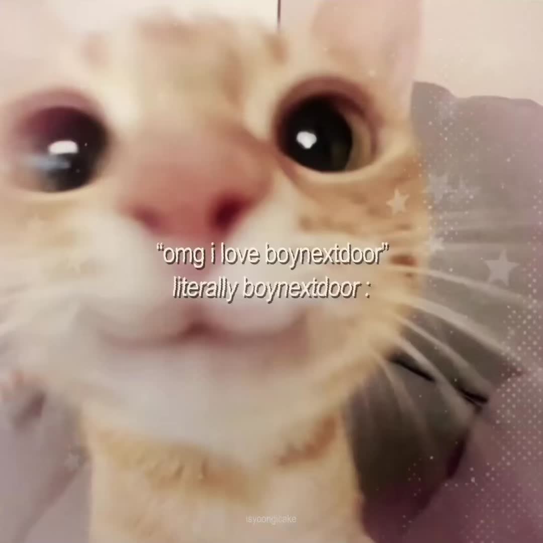 @RIO 리우 ❯❯❯❯