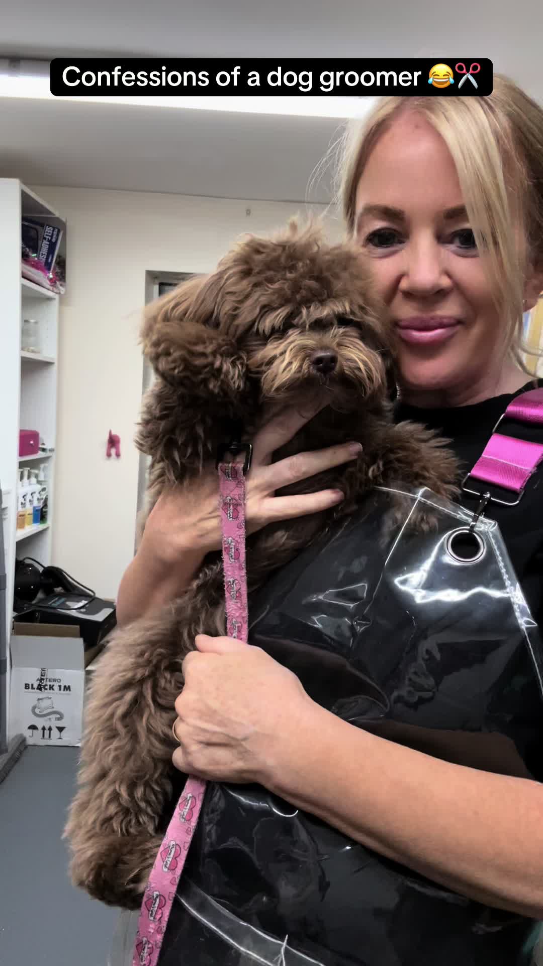@Poochiepoosdoggrooming