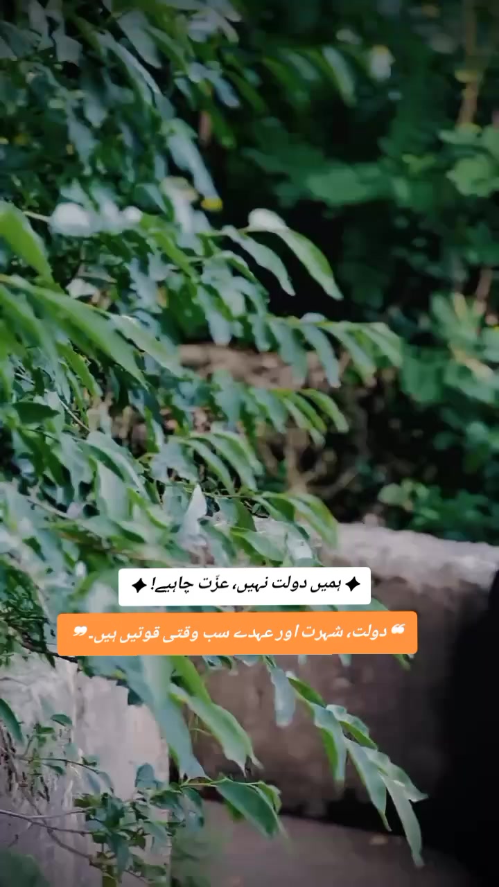 @★彡Iqtidar مخلص彡★