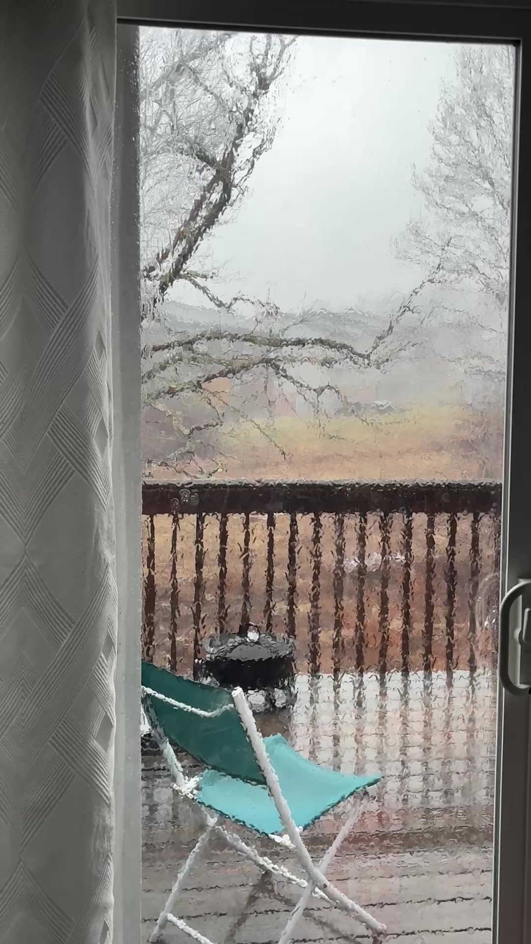 @WendyYHZ🇨🇦