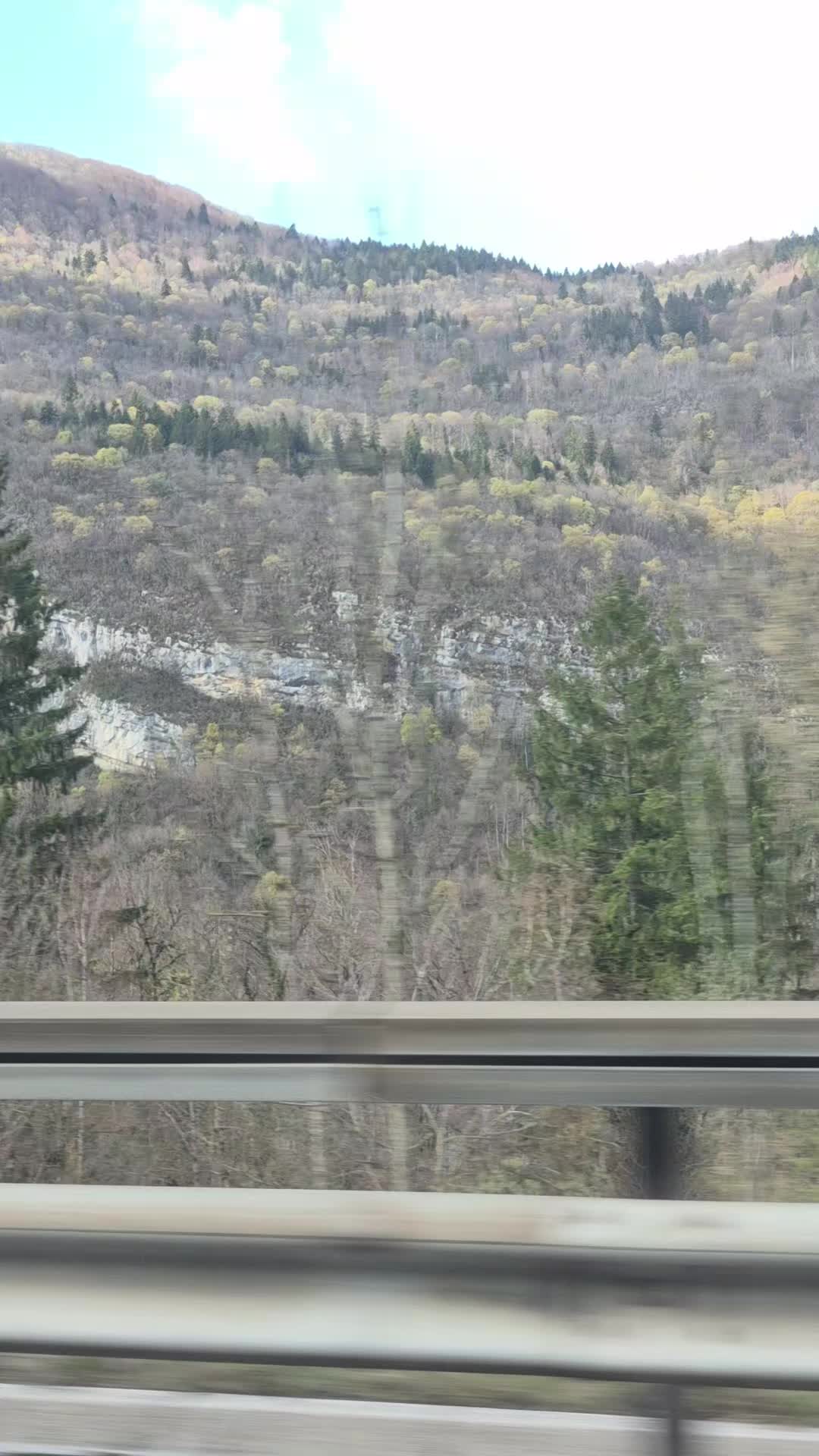 @Adam🇲🇫🇹🇳