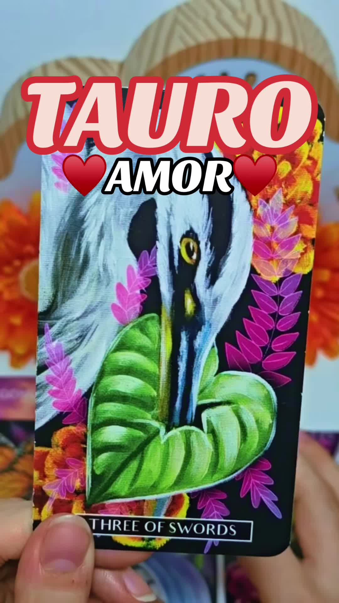 @Daniela Tarot