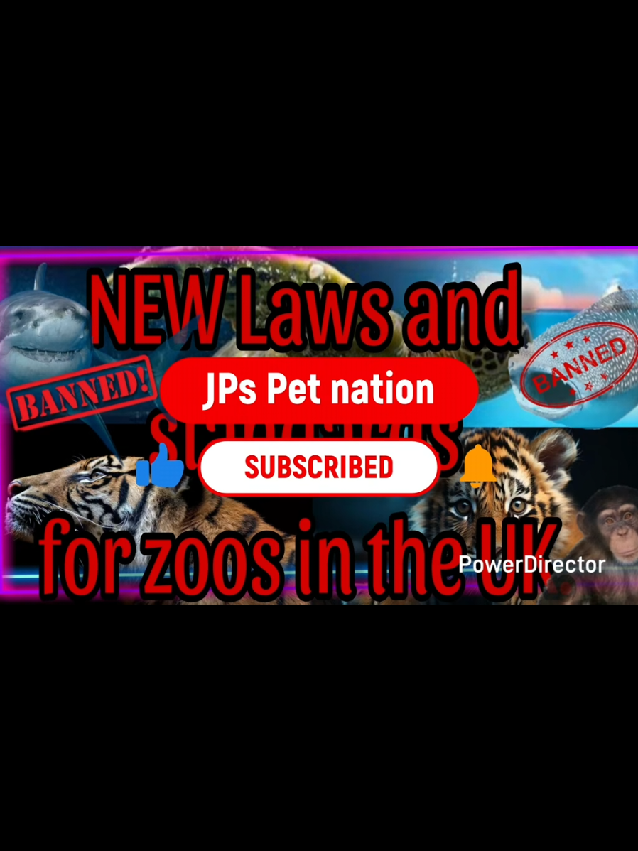 @Jp's Pet nation