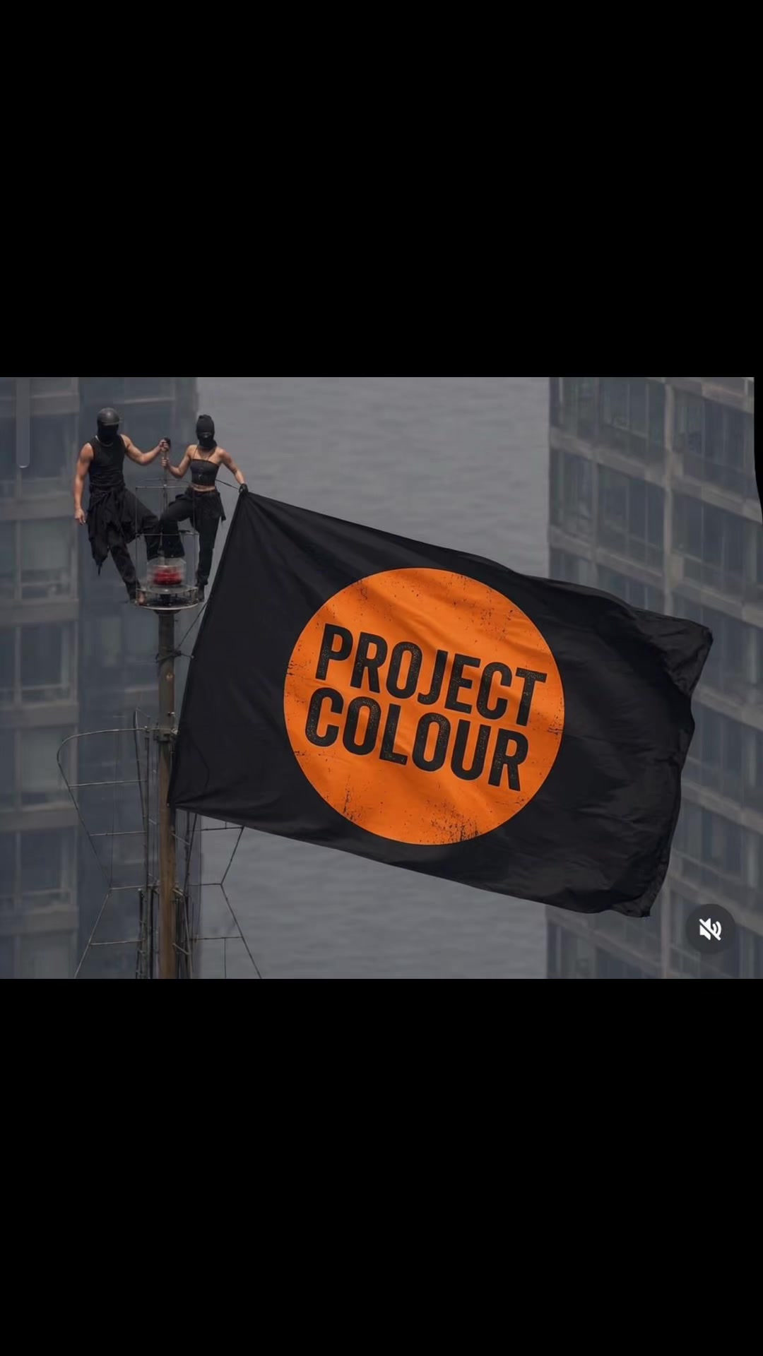 @Project Colour