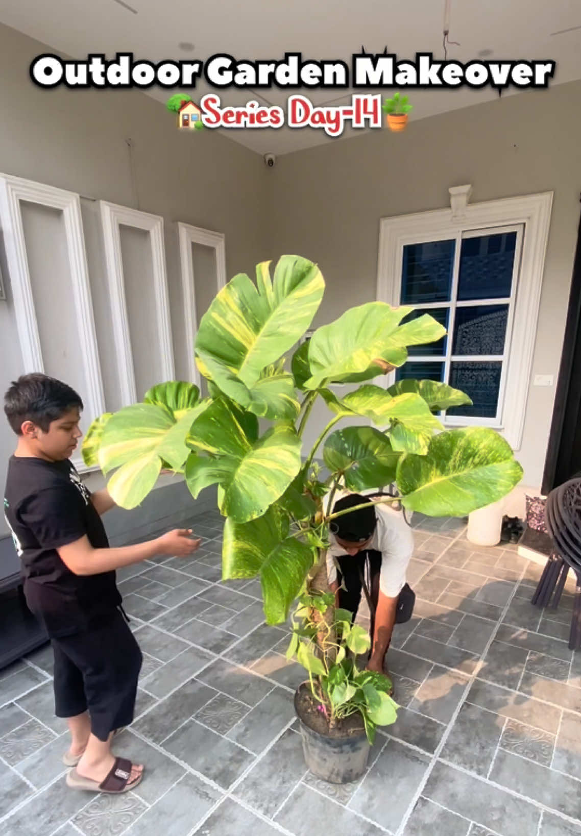 @Plantwithmomin