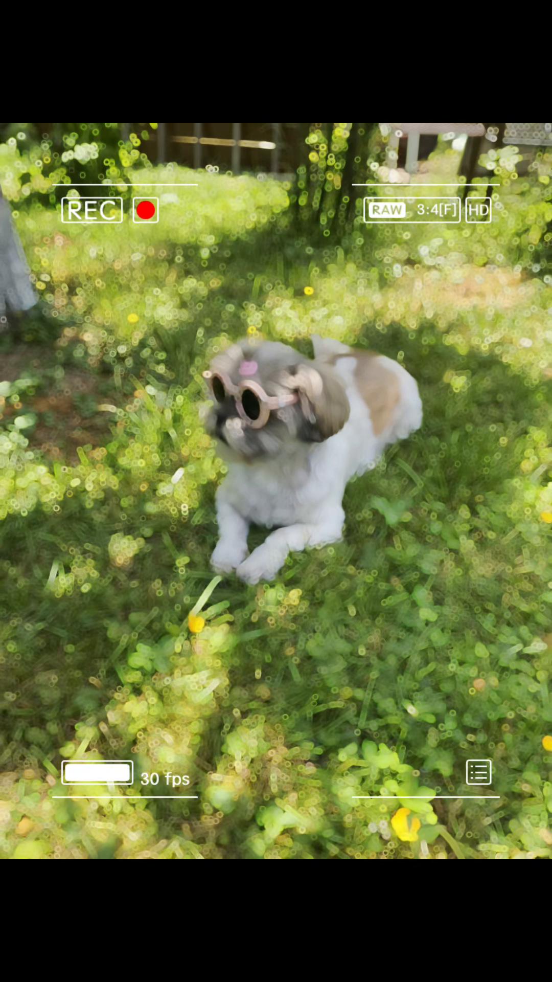 @Bella🐶💕