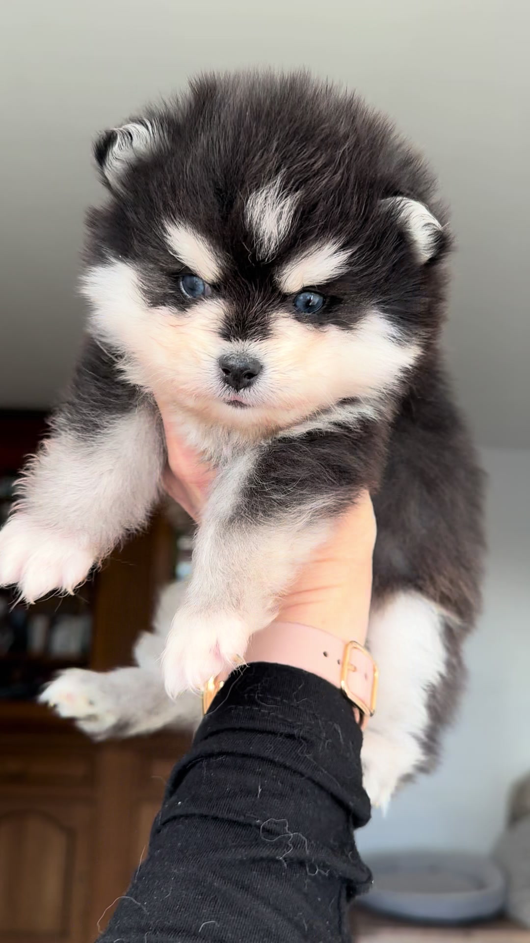 @MCO & POMSKY