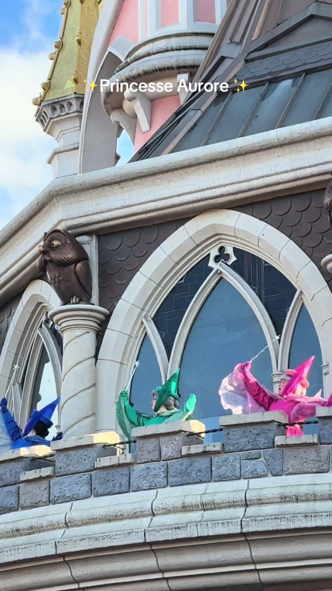 @✨DLP.trip✨