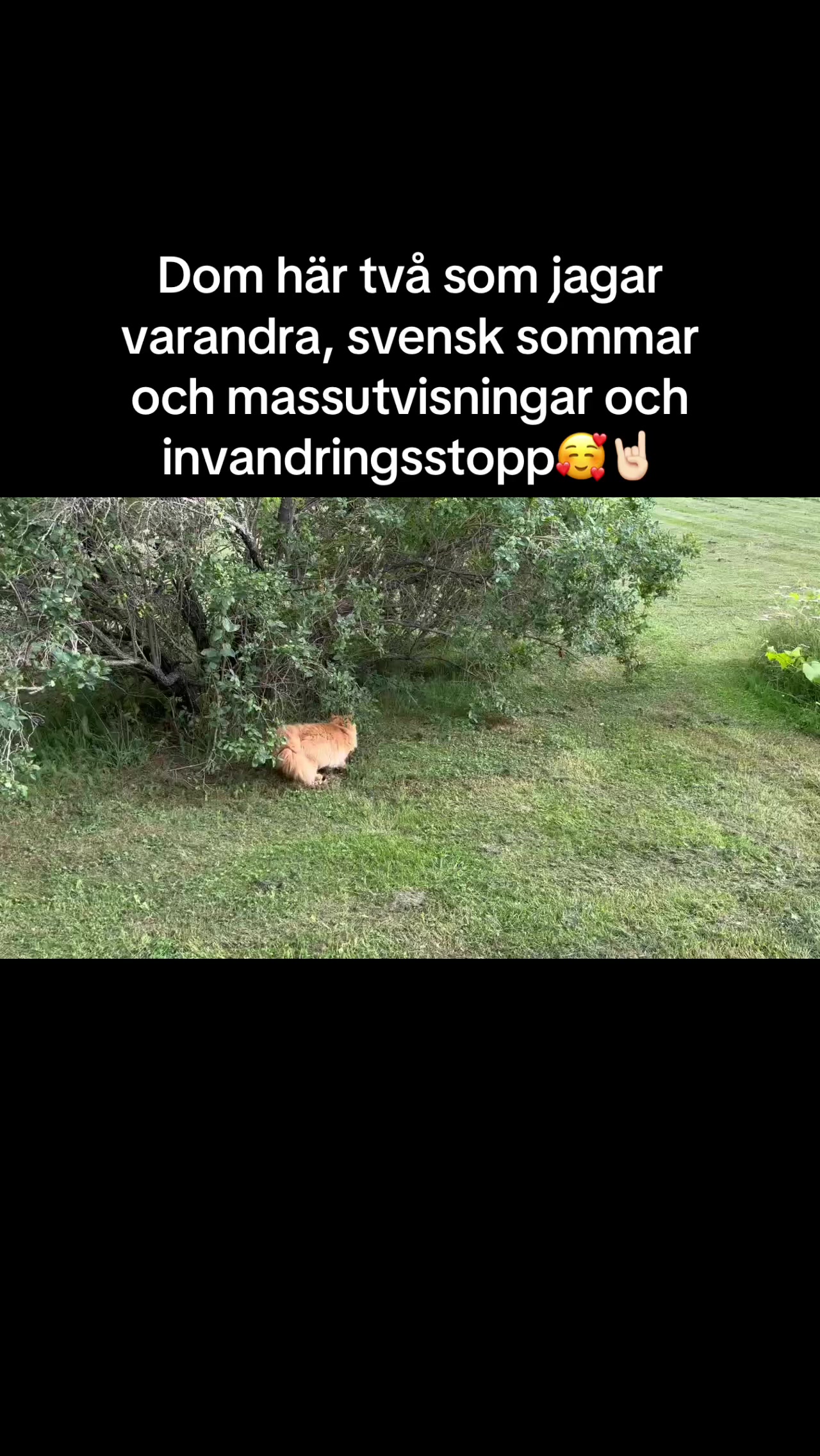 @KingEkman