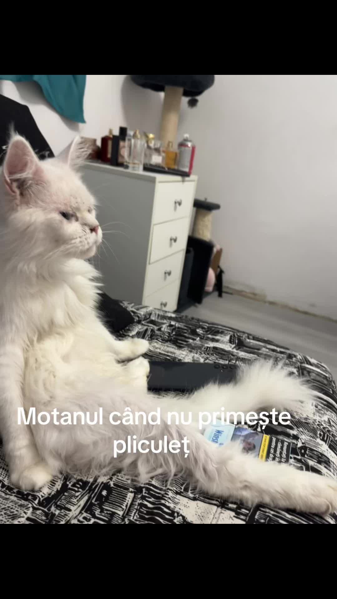 @LVN