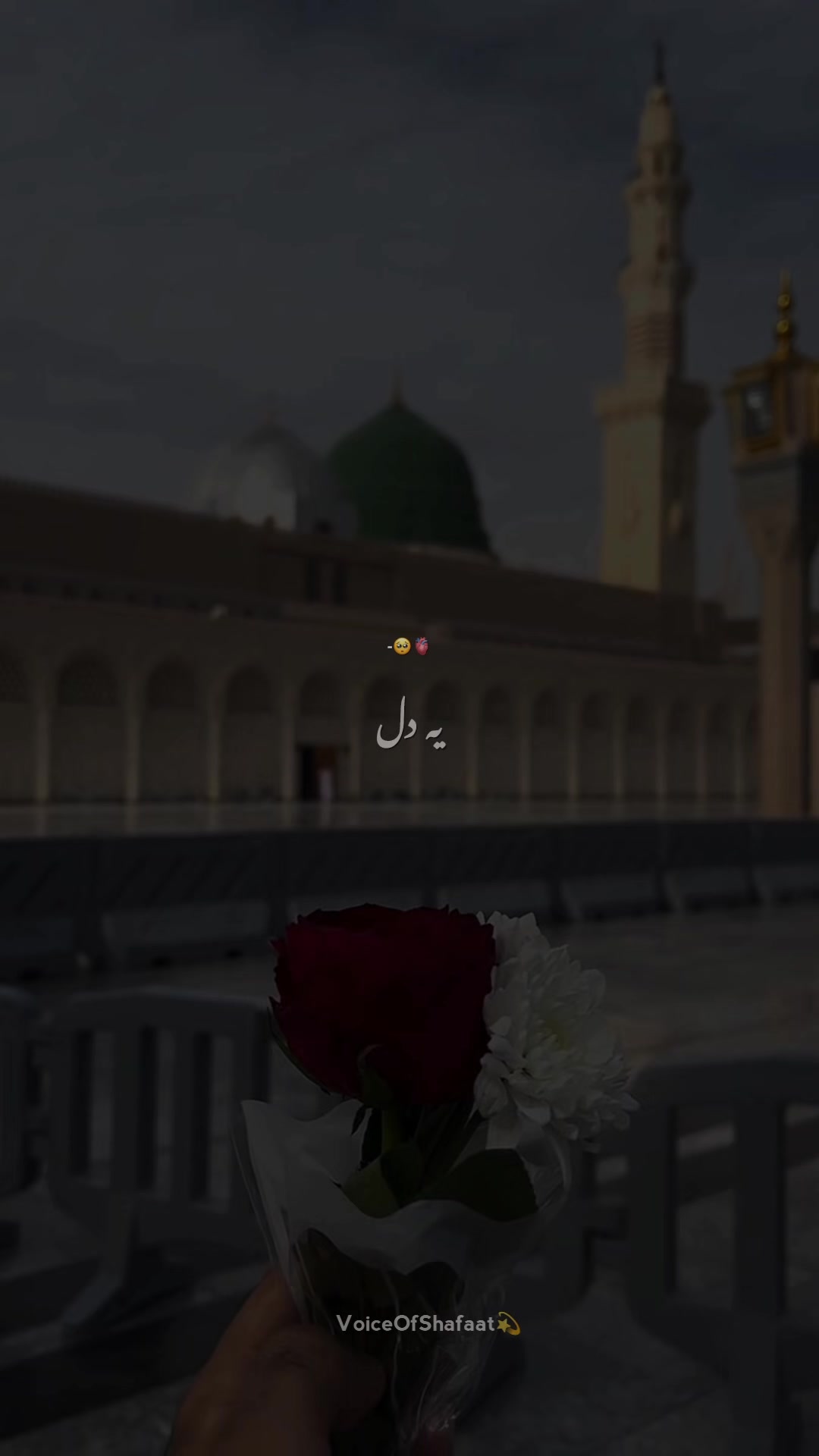 @VoiceOfShafaat💫
