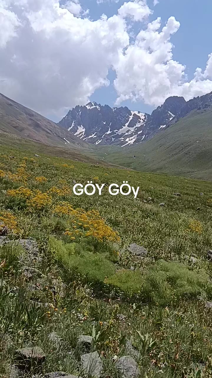 @Galatasaray