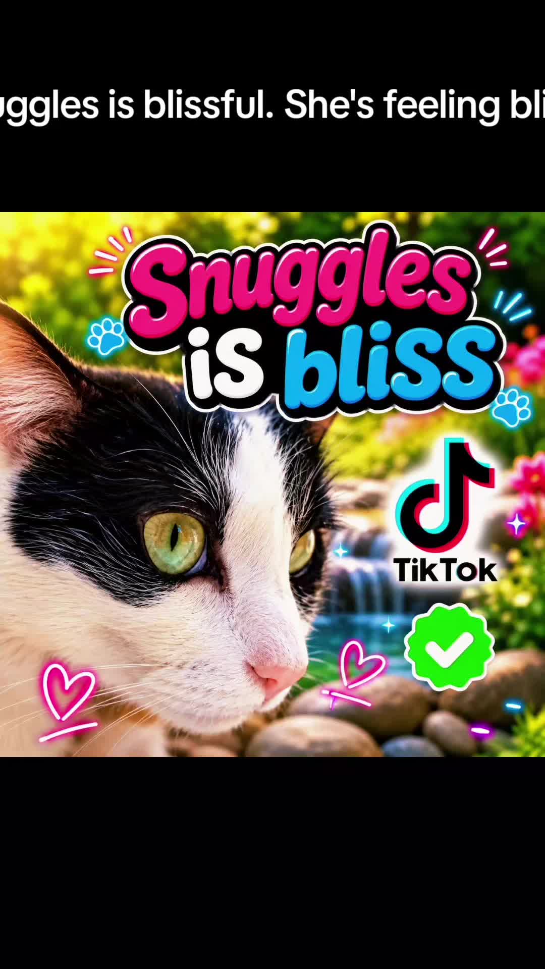 @Snuggles The Cat