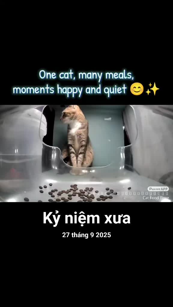 @Meo Meo 😋