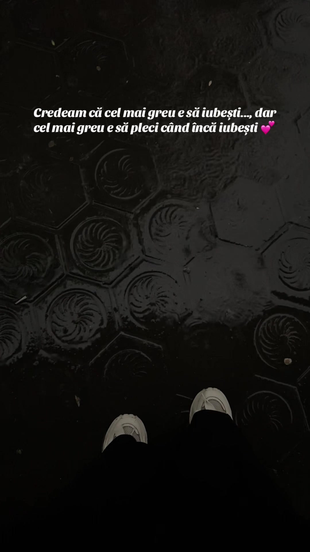 @daria