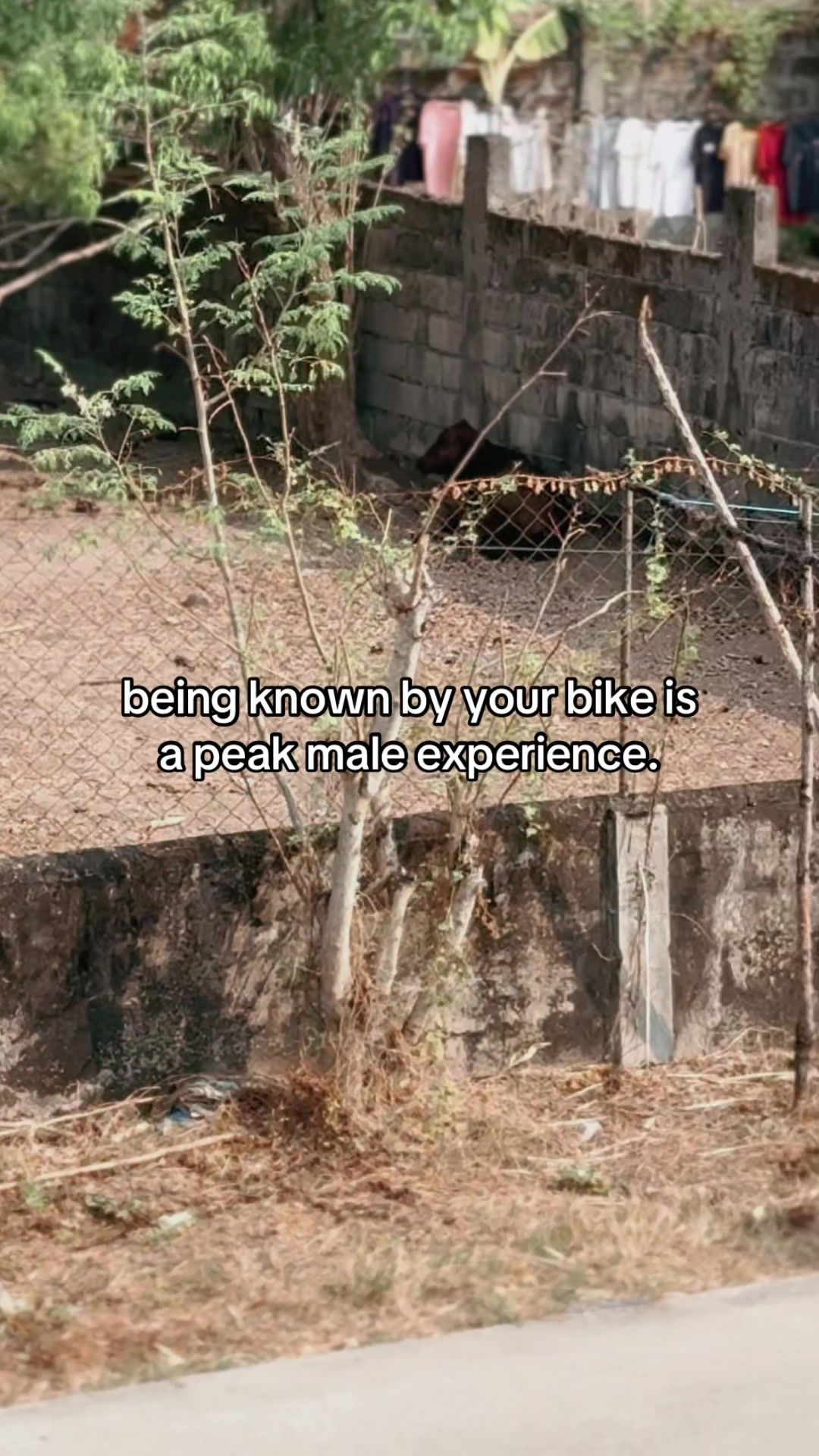 @𝑪𝒉𝒊𝒚𝒐