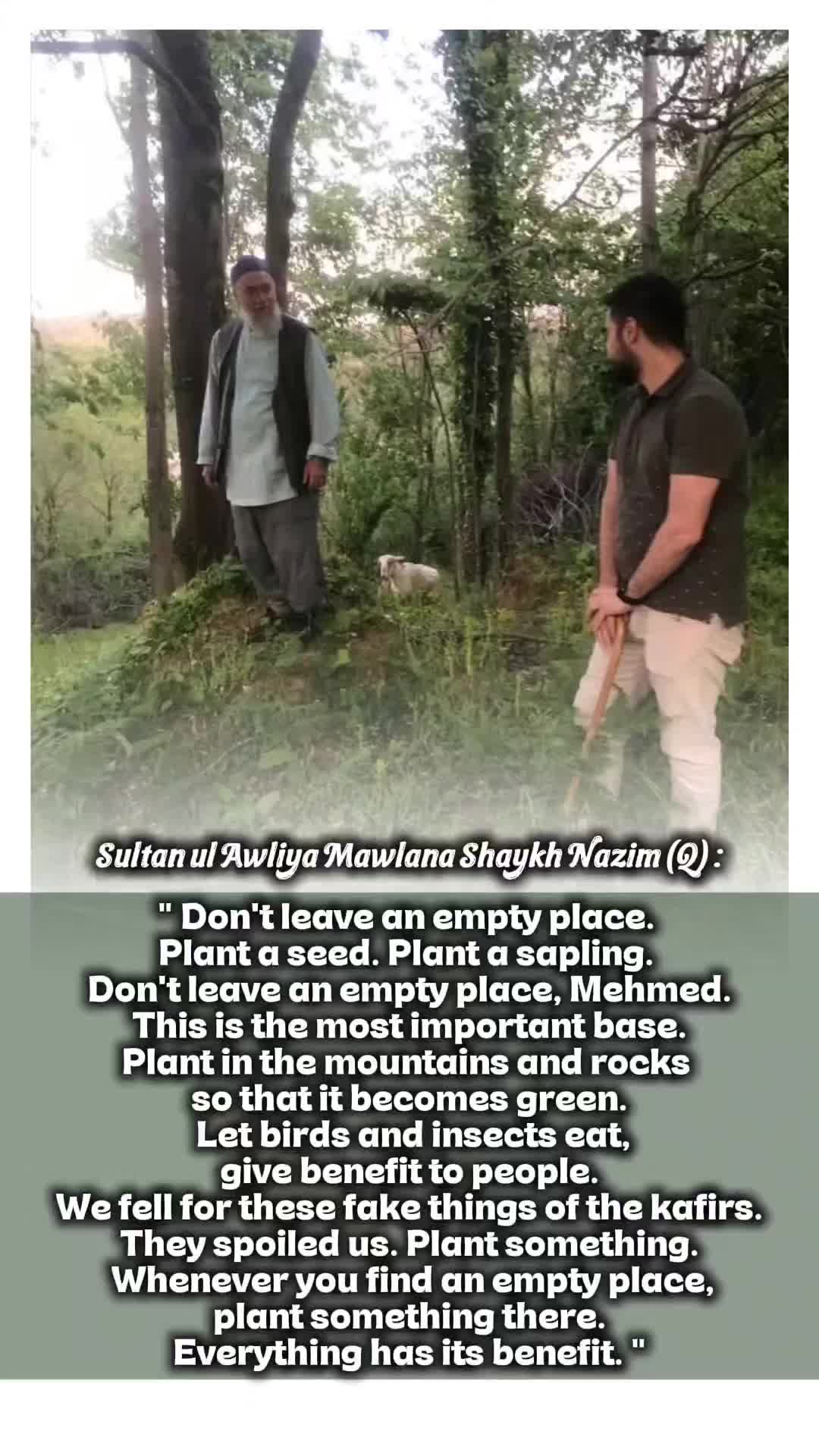 @Sufi Source