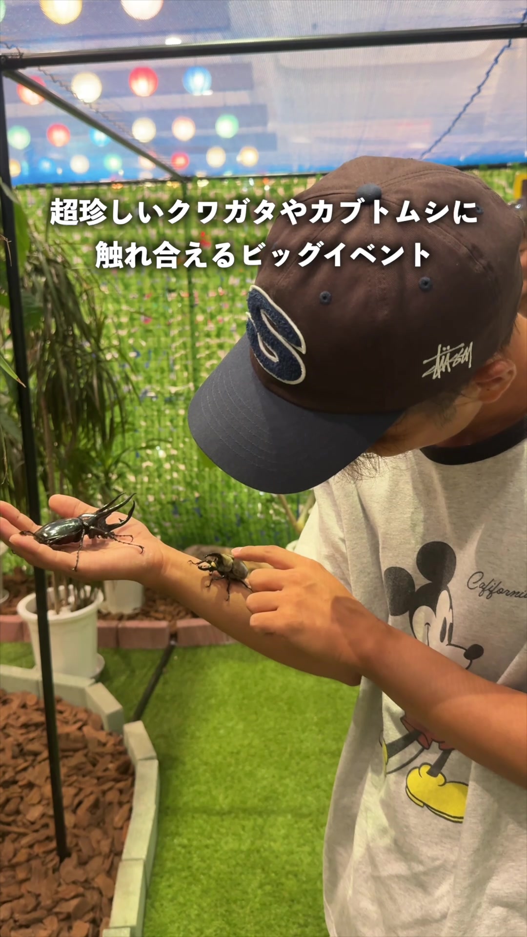@ミヤーーチ🏡