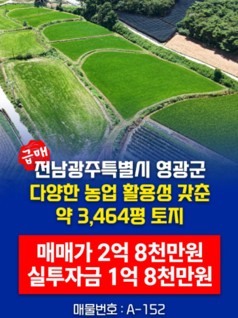 @부동산 전문가 박미란