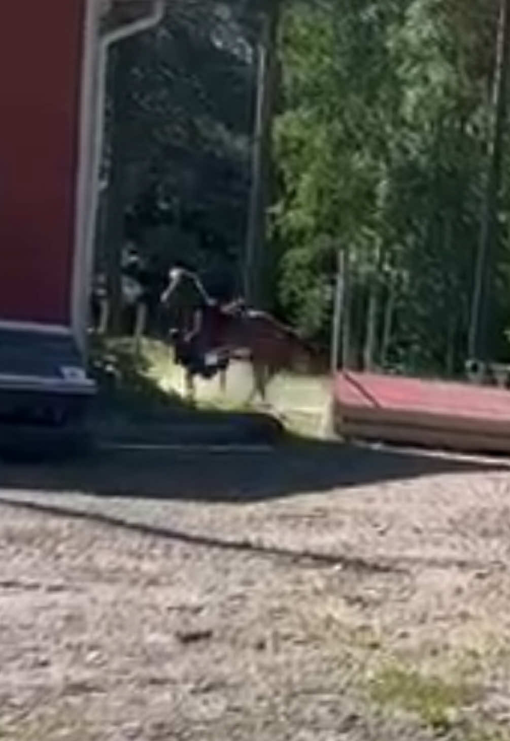 @Equestrian_tiiaa