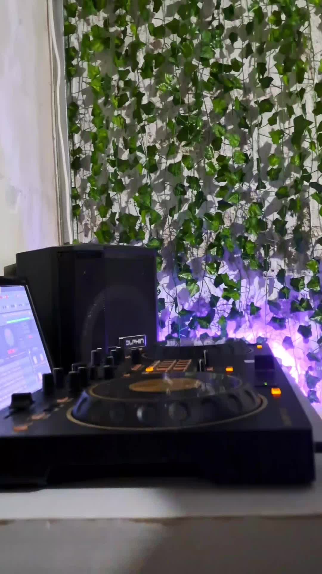 @Power Movil Disco