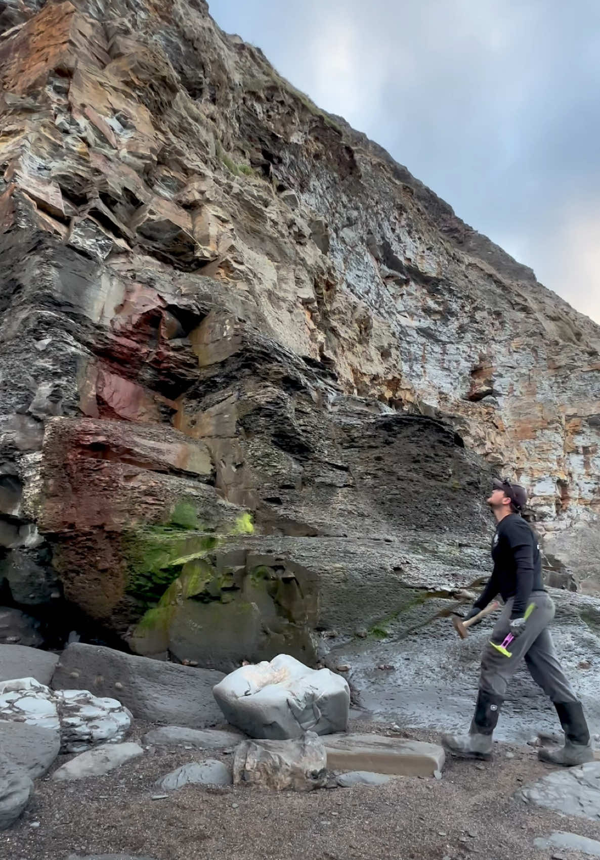 @yorkshire.fossils