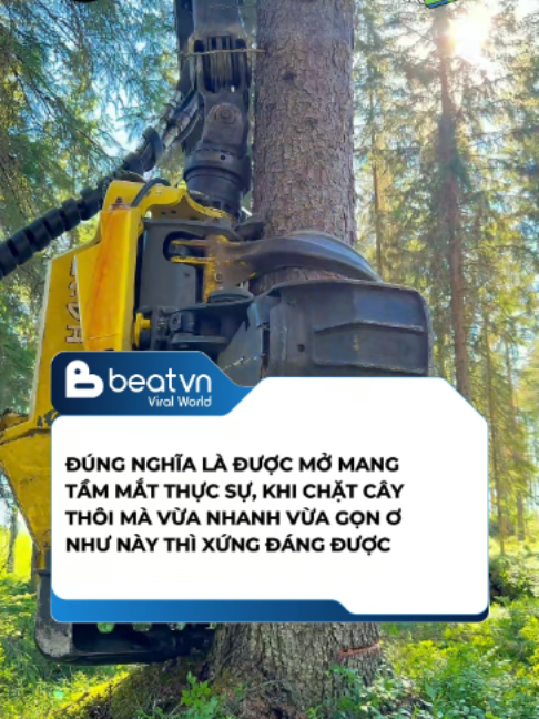 @Beatvn Viral World